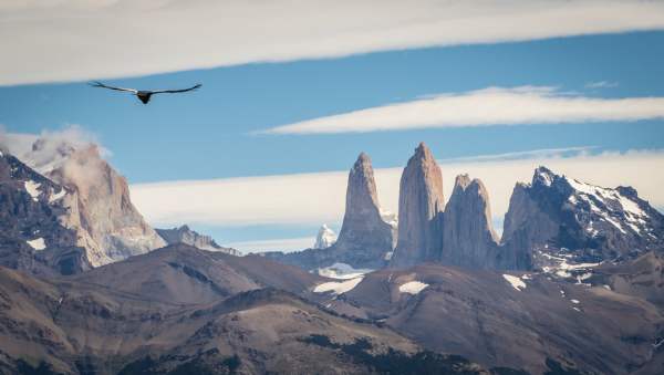 Torres del Paine & Condor Timothy Dhalleine