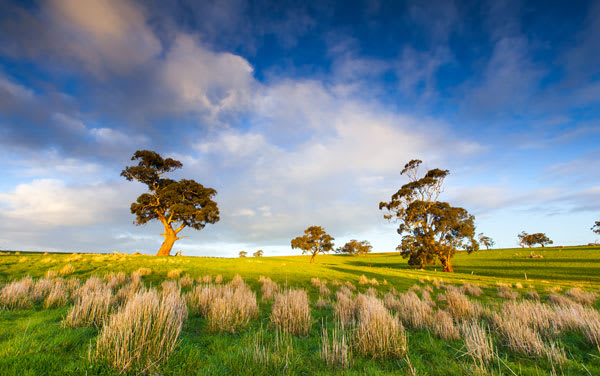 iStock-503240458