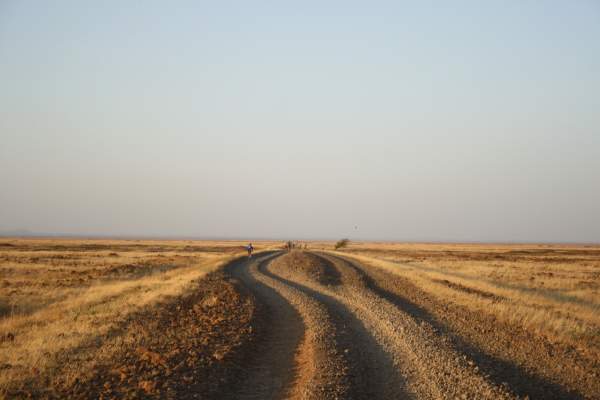 Tough times in the Northern Kenyan lava rock desert. Photo by Catharina Robbertze