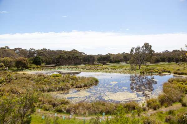 03_wetland