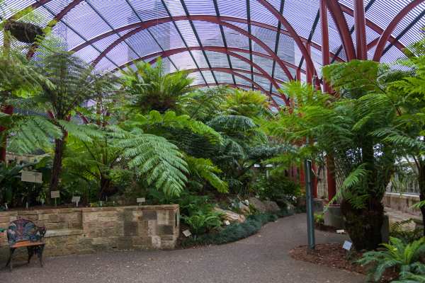 botanical-gardens-3