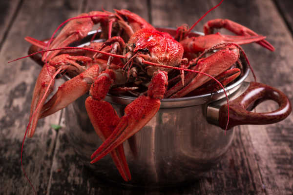 fresh boiled crawfish on the old wooden background