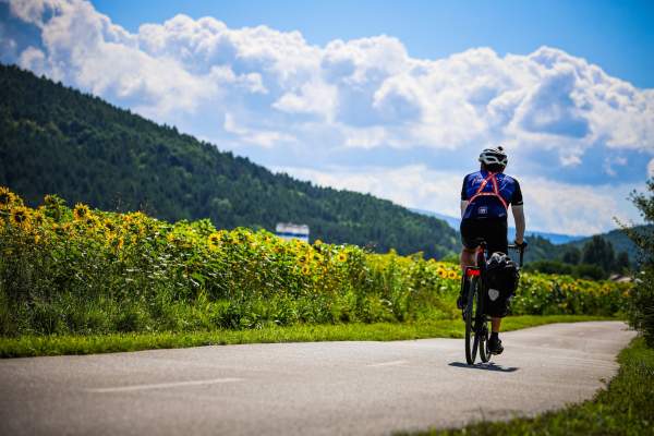 Trans-Europa Rider Reviews: 