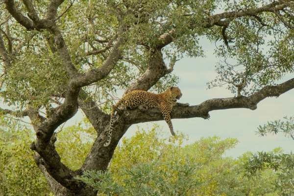 Cycling South Africa, Eswatini & Mozambique