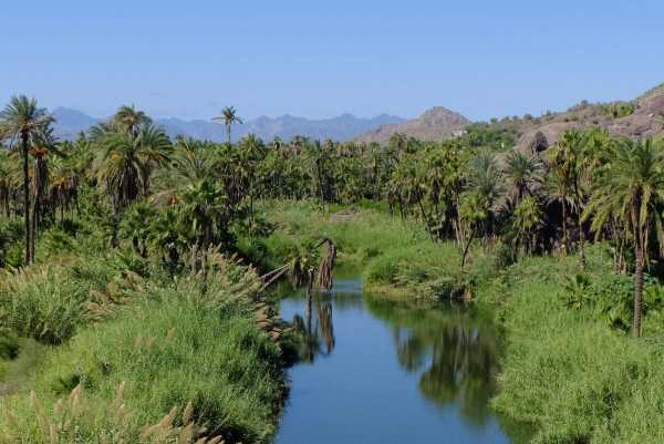 All of a sudden, Baja turns tropical!