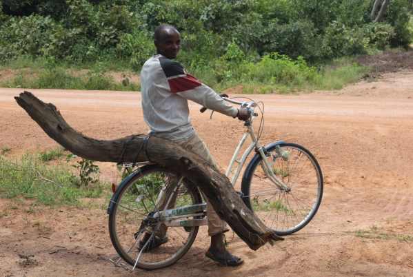 Cargo bike