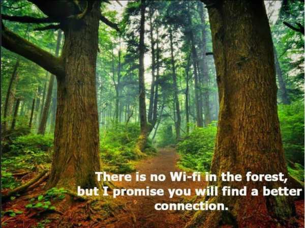 forest-bathing-health-benefits-no-wi-fi-better-connection