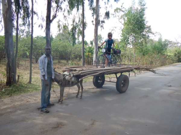 donkey bike