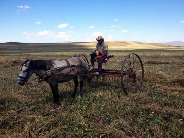 Man and his machine