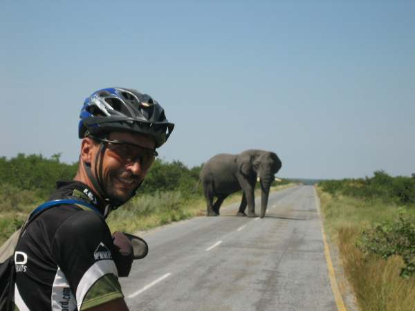 TDA rider on the Elephant Highway in Botswana111