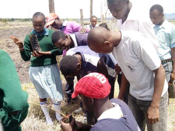 Students and members of Green Heroes Planting TreesII