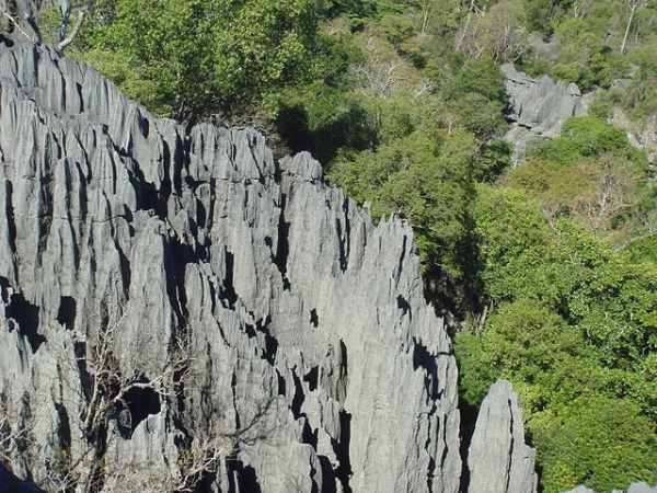 640px-Tsingy_de_Bemaraha_156