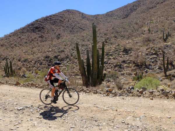 Michael and a huge saguaro cactus on the dirt road.