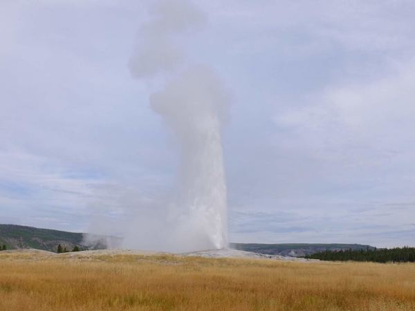 DSCF3251
