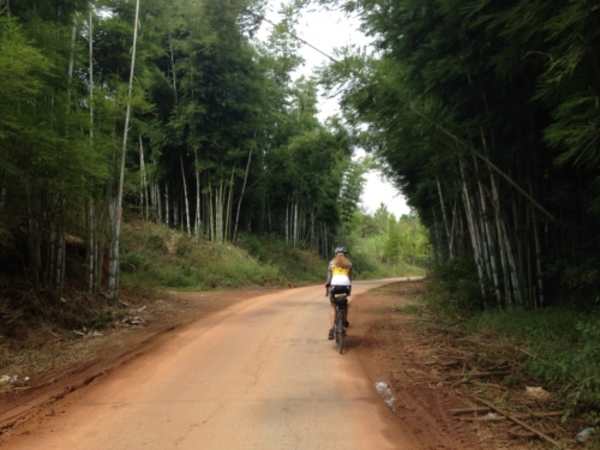 Karen riding in bamboo