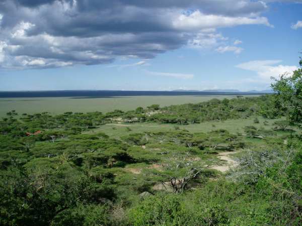 The Serengeti