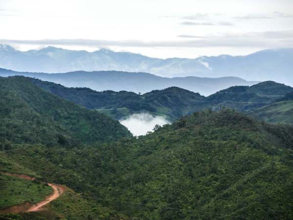 Colombia in the morning mist