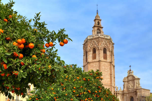 5 Reasons To Cycle Spain On The New Trans-Europa
