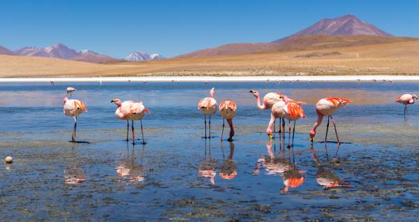Miles' Memories Part 1: The South American Epic Cycling Expedition