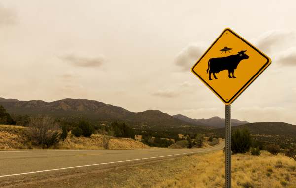 Scouting The Great American Roadtrip