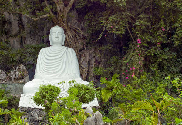 The 2022 Bamboo Road: A New Path Forward