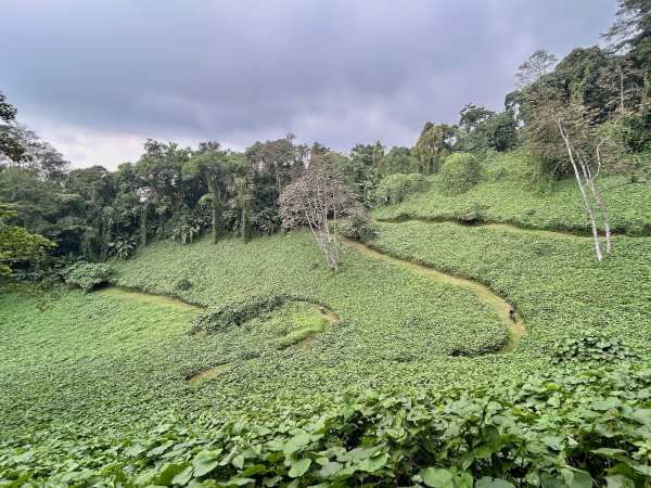 A Staff Day Out: Mountain Biking On Volcán de Agua