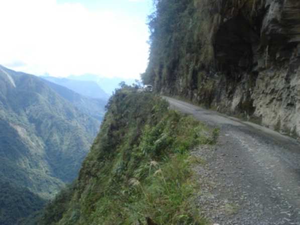 Jungle road