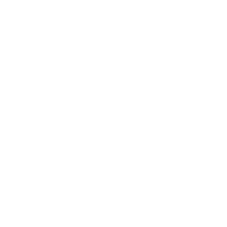 Dribbble favicon