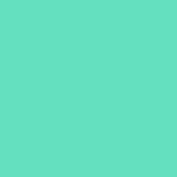 Random Color favicon