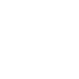 Shadcnblocks favicon