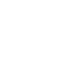 Developer tea favicon