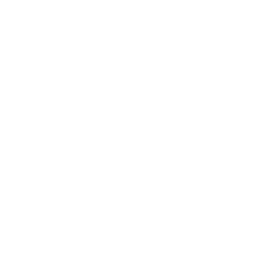 WebCurate Developer Tools favicon