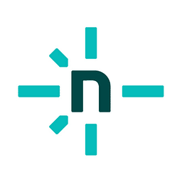 Netlify favicon