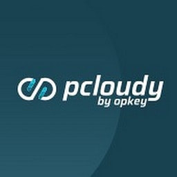 pCloudy favicon