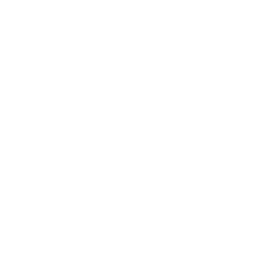 SaaSFrame favicon