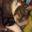 Cataas favicon