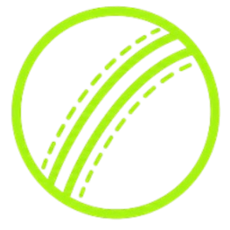 Cricket API favicon
