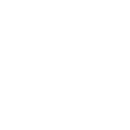 Nager.Date favicon