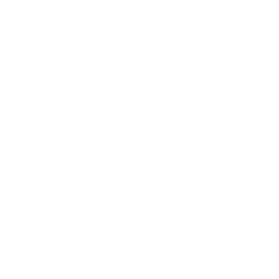 Finlight favicon