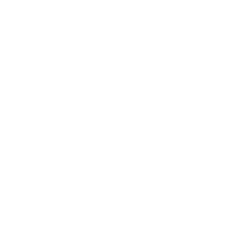 FreeCustom.Email favicon