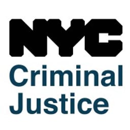 City, New York Open Data favicon