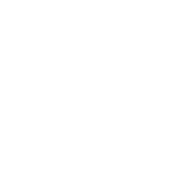Particle favicon