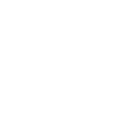 Pixela favicon