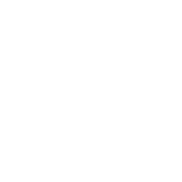 Quran favicon