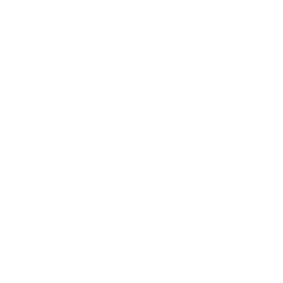 SEO Score favicon