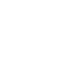Smartcar favicon