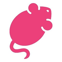 Tolgee favicon