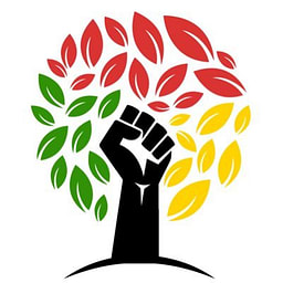 Black History Facts favicon