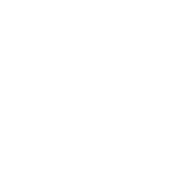 Open Government, Queensland Government favicon