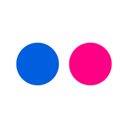 Flickr favicon